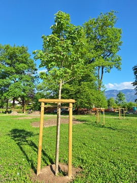 Keršmančev park (2)